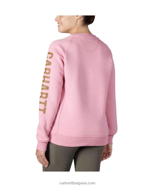 XD68N210 Жени спокоен суичър с графичен ръкав със средно тегло и кръгло деколте асфалт пирен неп Carhartt
