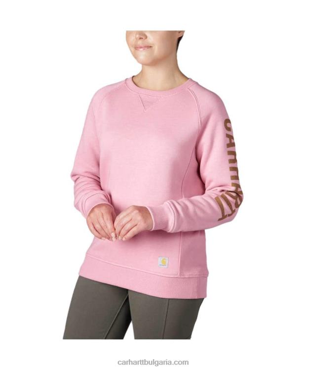 XD68N210 Жени спокоен суичър с графичен ръкав със средно тегло и кръгло деколте асфалт пирен неп Carhartt