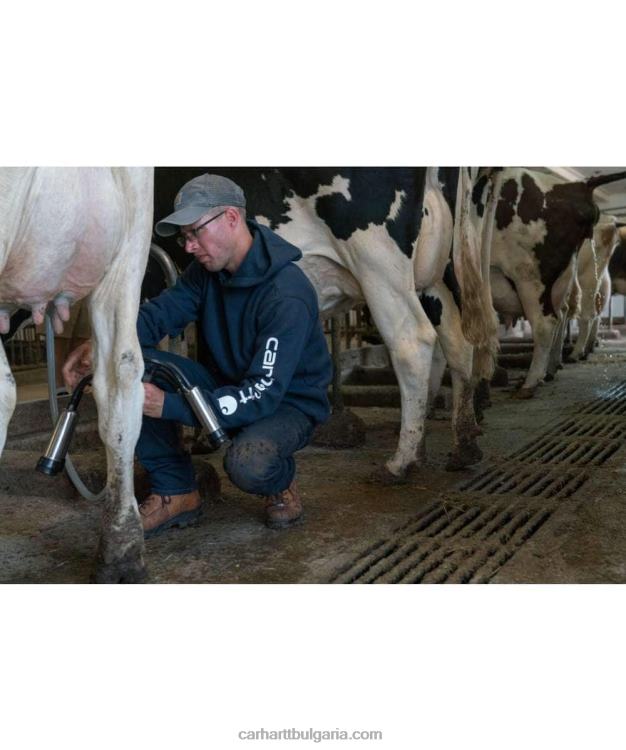 XD68N38 мъже суитшърт със свободна кройка с лого ръкав и графика алпийски син хедър Carhartt